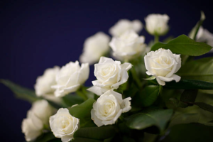 Een Respectvolle Afscheid bij Estia Uitvaarten: Uitvaartzorg Arnhem voor een prachtige crematie Westervoort